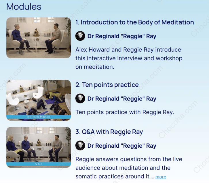 The Body of Meditation by Dr Reginald "Reggie" Ray the-body-of-meditation-by-dr-reginald-reggie-ray-free-download